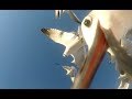 Get A Cheetos Eye View Of A Seagull Feeding Frenzy