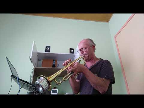 Roberto Przybylski - Herb Alpert & The Tijuana Brass , I Will Wait for You