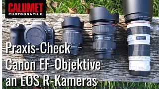 Canon EF-Objektive an EOS R-Kamera | Der Praxis - Test