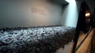 Phoenix Bourgeois Unofficial Video