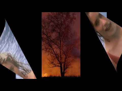 Video thumbnail for A Touch of Paradise