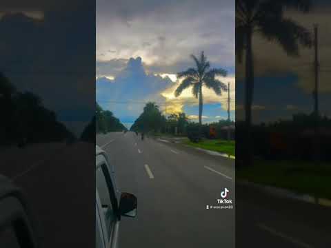 Beautiful Day With Nature