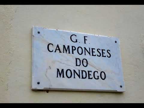 Grupo Folclórico Camponeses do Mondego - "Balancé"