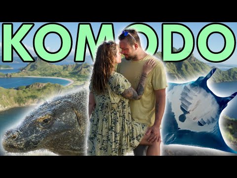 PARADIES in Indonesien • BOOTSTOUR im KOMODO NATIONALPARK - das erwartet euch! • Weltreise Vlog n.20