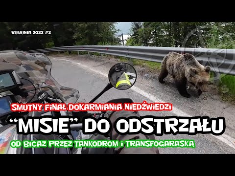 Bears to be shot on the Transfagarasan | Transfagarasan DN7C | Romania by motorcycle episode 2/4