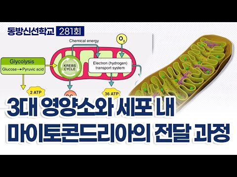 기초(숨) 수행과정