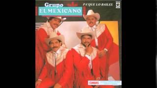 Grupo El Mexicano- El Socio
