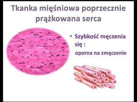 Napięte mięśnie na plecach Co dzieje się w mięśniach w osteochondroza