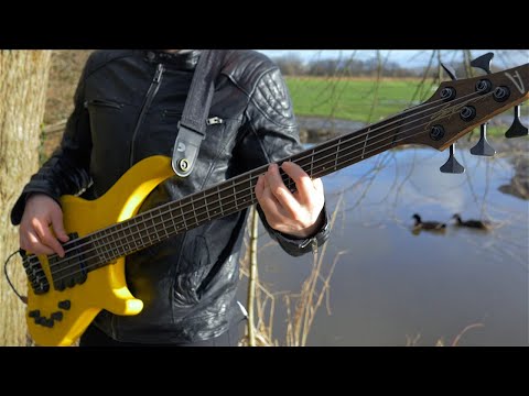 AVIATIONS x NEURAL DSP // Captain No Beard // Bass Playthrough