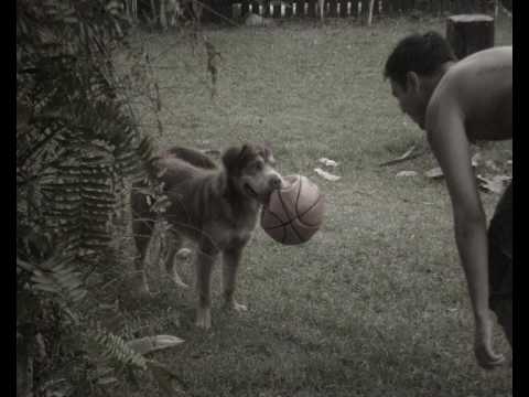 Grama Verde video