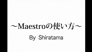 Maestroの使い方！