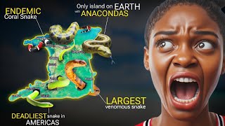 Download lagu Why TRINIDAD is the real 'Snake Island' 🇹🇹 mp3 Download lagu Why TRINIDAD is the real 'Snake Island' 🇹🇹 mp3