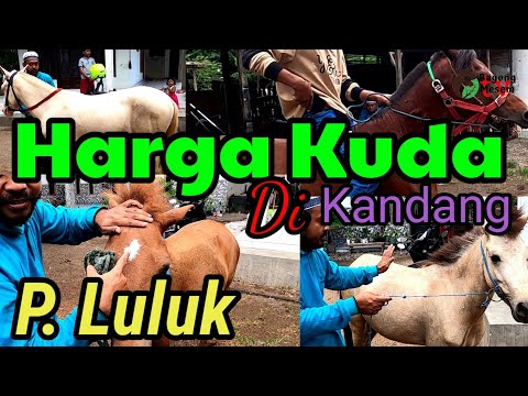 , title : 'Harga Kuda di Kandang P. Luluk'