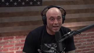 Why Elon Musk is Getting Rid of All His Material Possessions | Joe Rogan and Elon Musk 2
