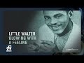 Little Walter - Tell Me Mama