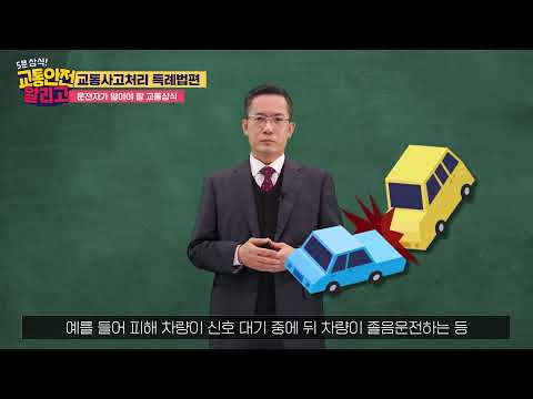 「교통사고 처리 특례법」의 한국수어 표현