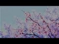 Playboi Carti Location Slowed Reverb
