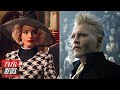 Johnny Depp Fired from Fantastic Beasts, Warner Bros Apology Amid ‘The Witches’ Backlash | THR News
