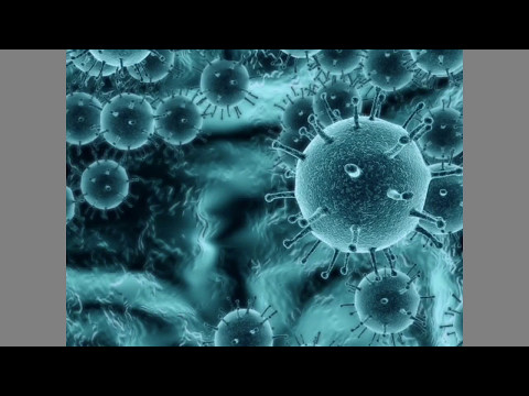 Generalidades de los VIRUS