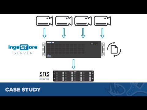 Ideal Systems Case Study with Bluefish444 IngeSTore