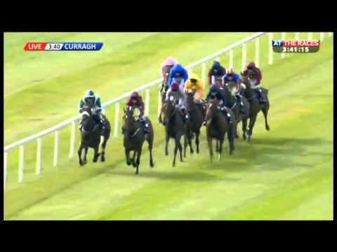 Moyglare Stud Stakes 2014