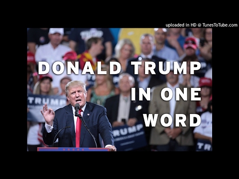 The Top 501 submissions to describe Trump in one word [according to trumpinoneword.com]