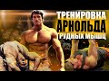 МОЩНАЯ Тренировка Груди Арнольда Шварценеггера (Пробую Выполнить)