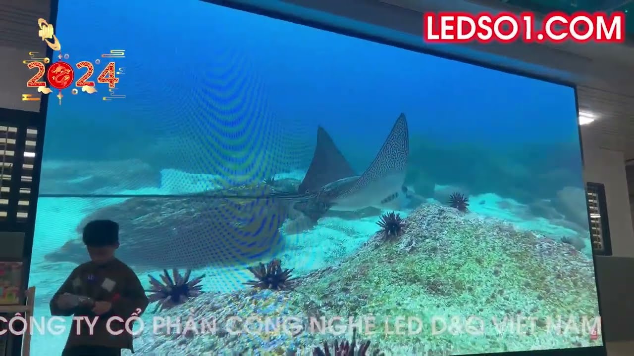 Video du an