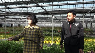 [나는 농부다] 남매의 꿈꾸는 나무 이야기 2부