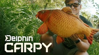 Plyšový kapr Delphin CARPY 60cm