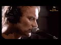 Sting - Fields of Gold (Tradução)