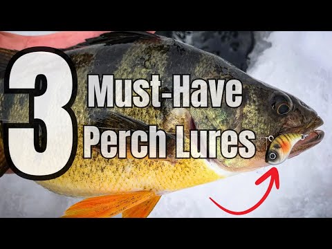 The ONLY 3 Lures You Need to Catch Perch ANYWHERE!