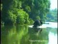 Nature Wonders THE DANUBE DELTA Romania