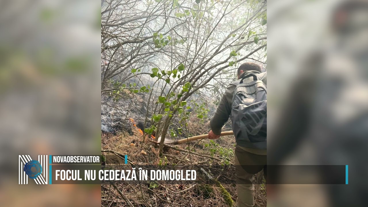Focul nu cedează în Domogled