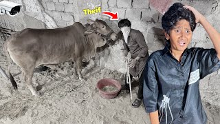 Download lagu MY COW IS MISSING! mp3