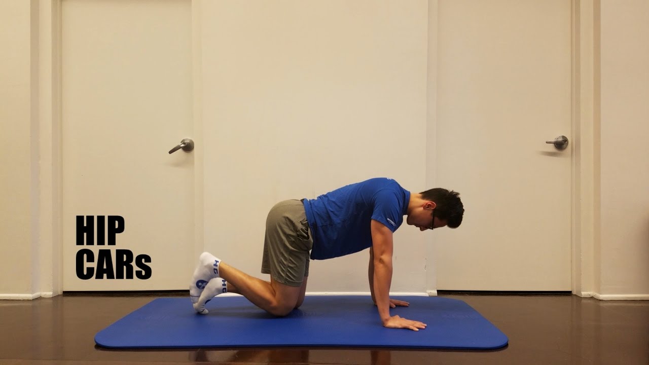 Quadruped Hip CAR's - YouTube