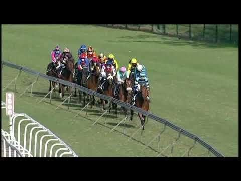 20200628 Hollywoodbets Greyville express clip Race 7 won by SUMMER PUDDING