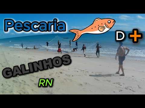 GALINHOS LITORAL - RN EP - 02