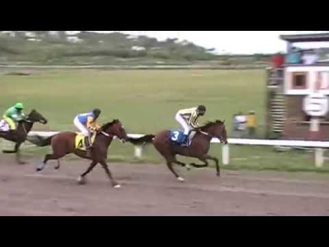 Serpent wins B3 6.5 Furlongs April 2017