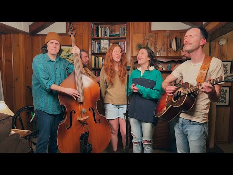 Mushroom Song - Buffalo Rose - NPR Tiny Desk Contest Submission 2025