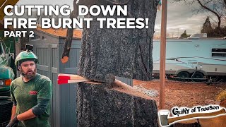 Cutting down Fire Burned Trees with Randy! | Part 2