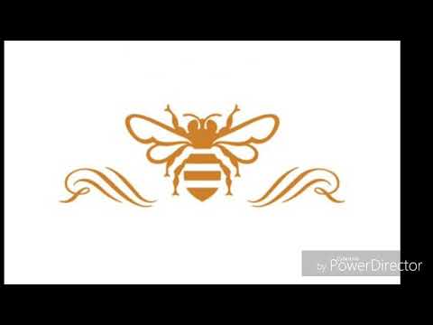 Tipicvl GVNG #SOLO - Miel