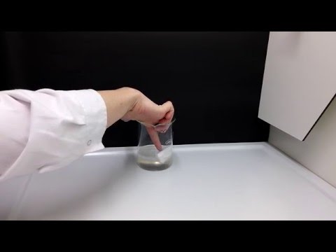 Toluene and styrofoam experiment