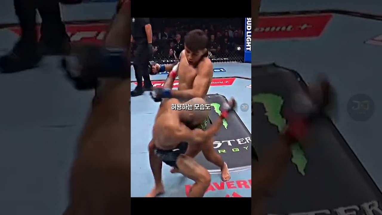 1라운드 재앙 그 자체였던 제앙 실바 vs 호세 델가도 경기 결과 ㄷㄷ