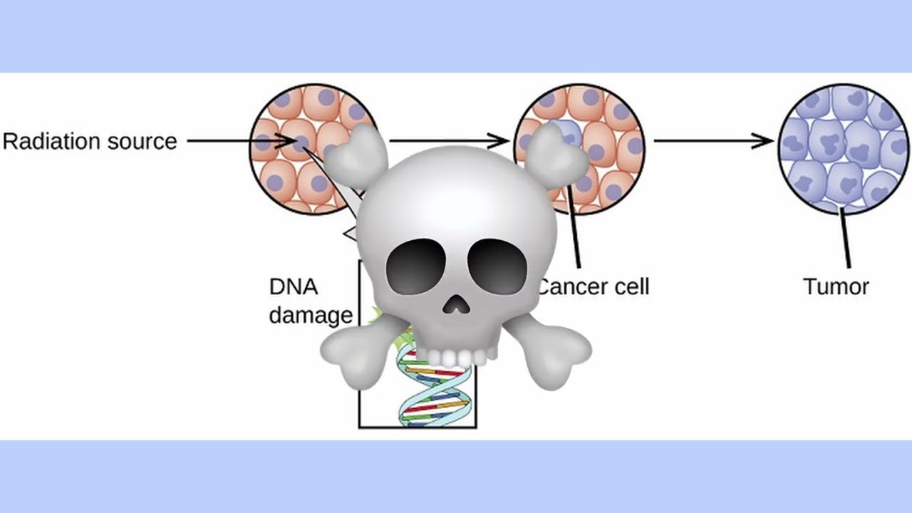 Trabalho Final de Química Analítica 3