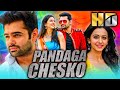 Pandaga Chesko (HD) - राम पोथीनेनी की सुपरहिट एक्शन कॉमेडी