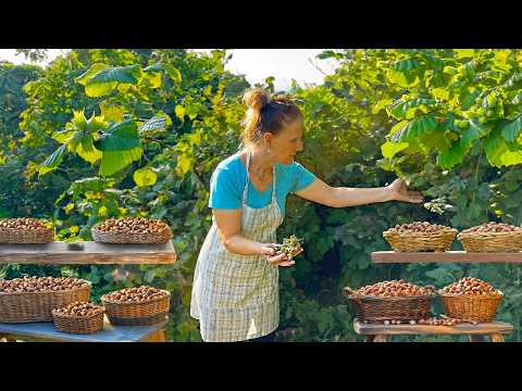 Authentic Albanian Summer ๐ฟ๐
โ Hazelnut Bread and Homemade Dishes ๐๐พ