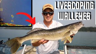 Sharpshooting Walleyes - Garmin Livescope + Jiggin Rap (Livescoping Walleyes)