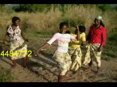 Mr Amadinho FT Carimo Sharme Vizinho