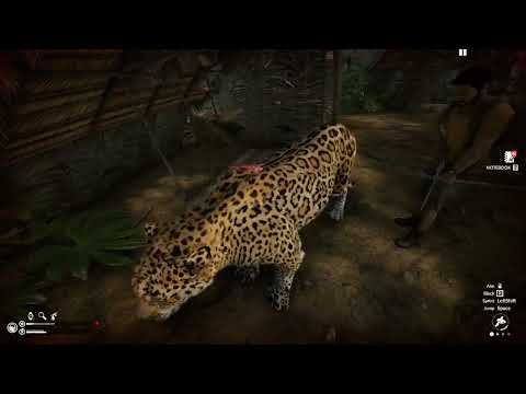 Green Hell - Trying to build a base and survive